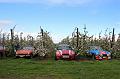 MG Bloesemrit op 24-4-2016 org. Jos&Marie-lou  (246)